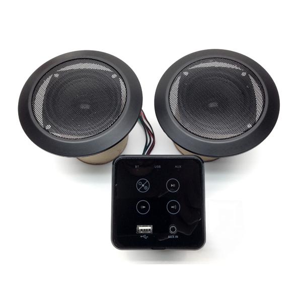 Audio System with Subwoofer